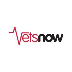 Vets Now Newport